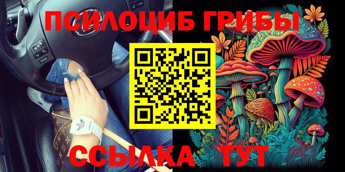 Галлюциногенные грибы Psilocybine cubensis  как найти   Майский  Вход с VPN 