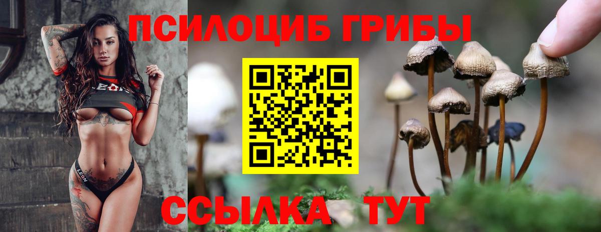 Псилоцибиновые грибы мухоморы Майский